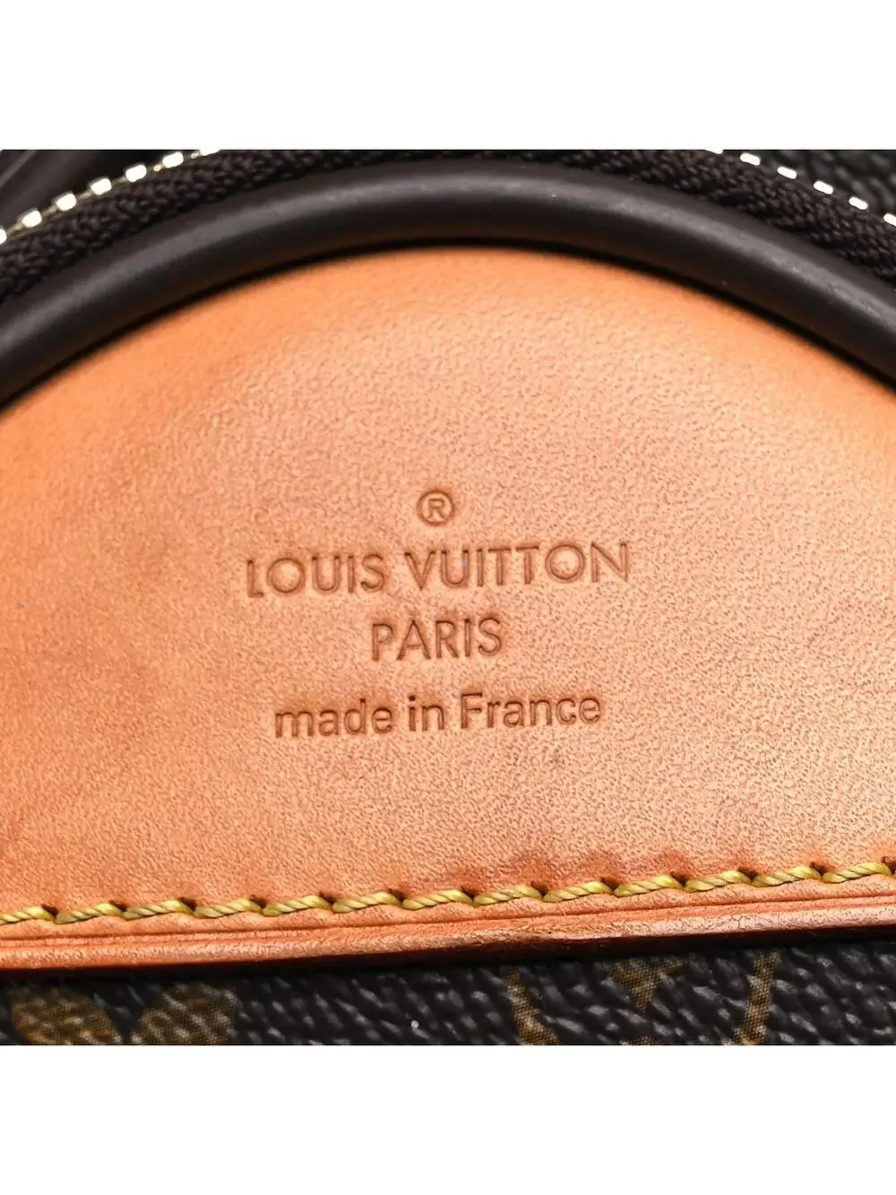 Louis Vuitton Pegase Legere Business 55 #310219L18B